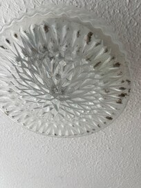 Lamp fitting with dead flys and flicker on off