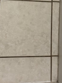 hair on the floor