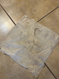 Hair on bathroom floor