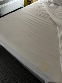 Body fluid stains. 😲