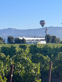 From my room balcony, you can see hot air balloons and the vineyard.