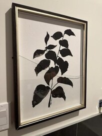 Broken picture frame