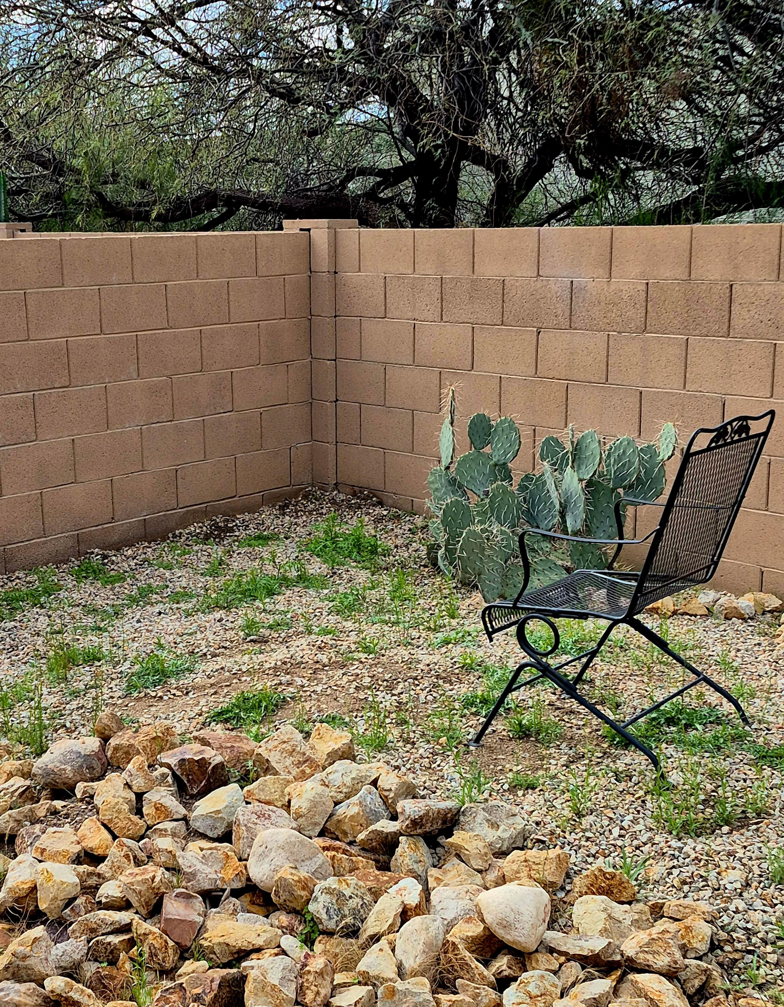 Yard was in major need of maintenance and re-hardscapin