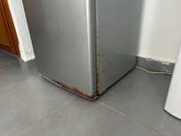 Rusty Fridge, notice chipping paint on walls