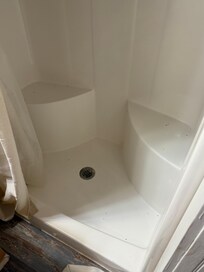 Mosquitoes in the shower