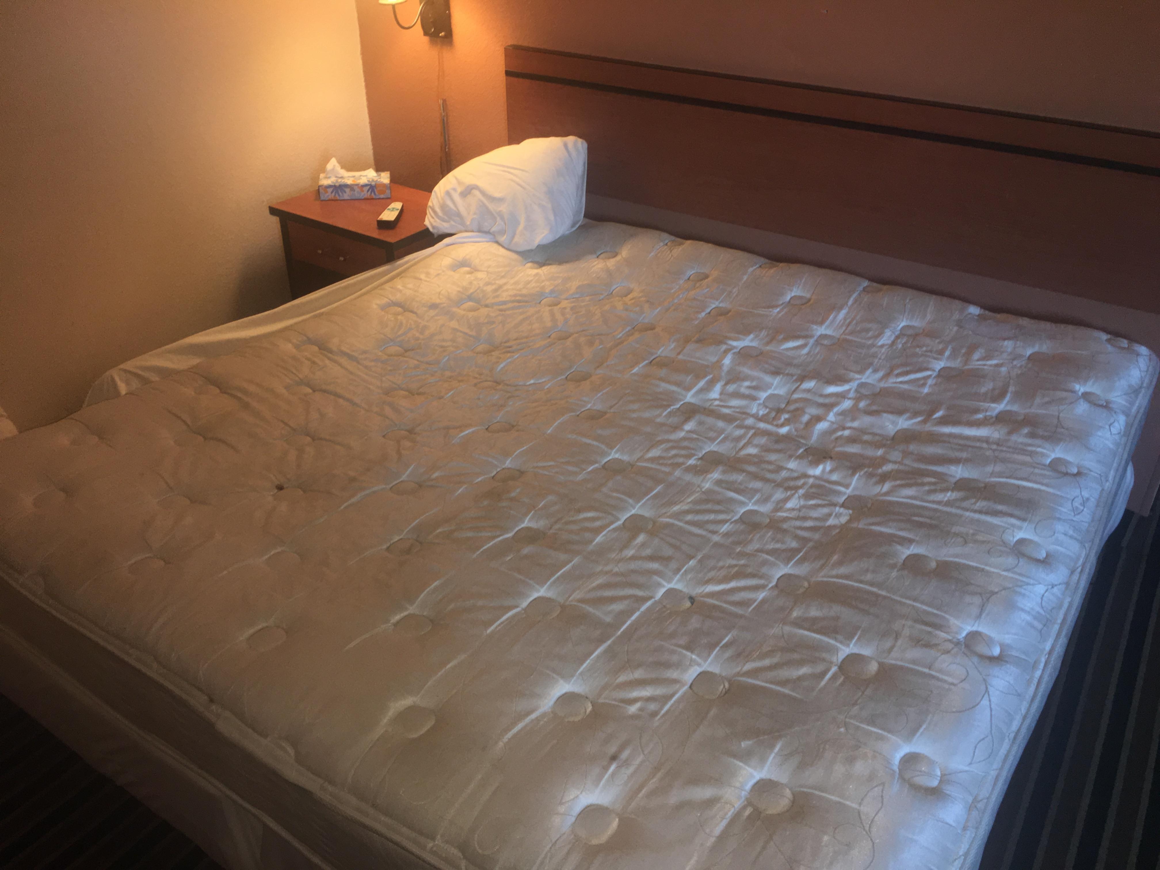 Dirty mattress with bugs and burn holes everywhere