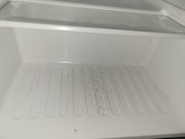 Mold in the fridge