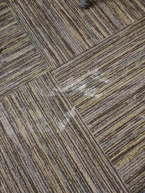 Stained carpet