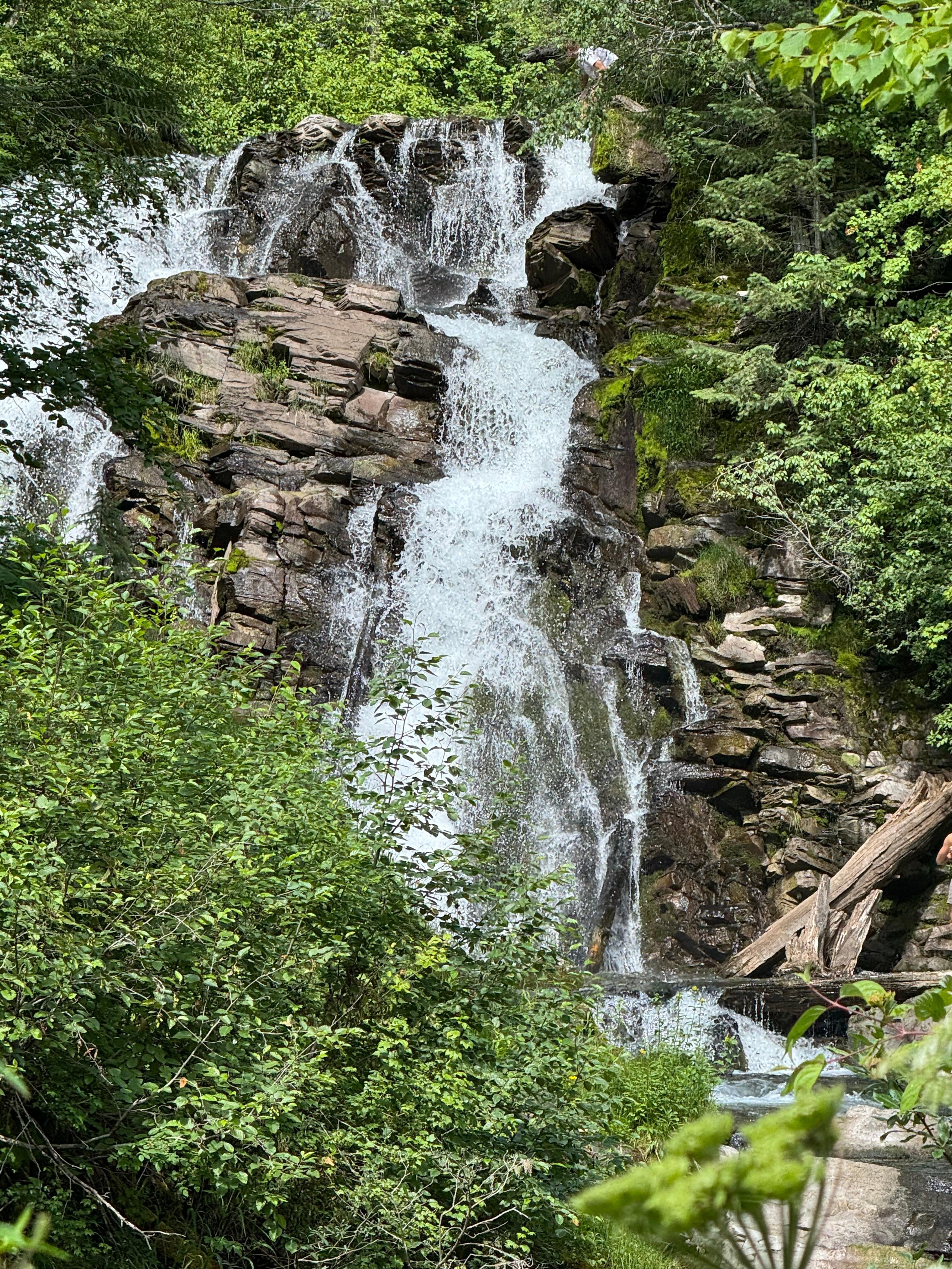 Fairy Creek Falls nice and easy hike in Fernie!