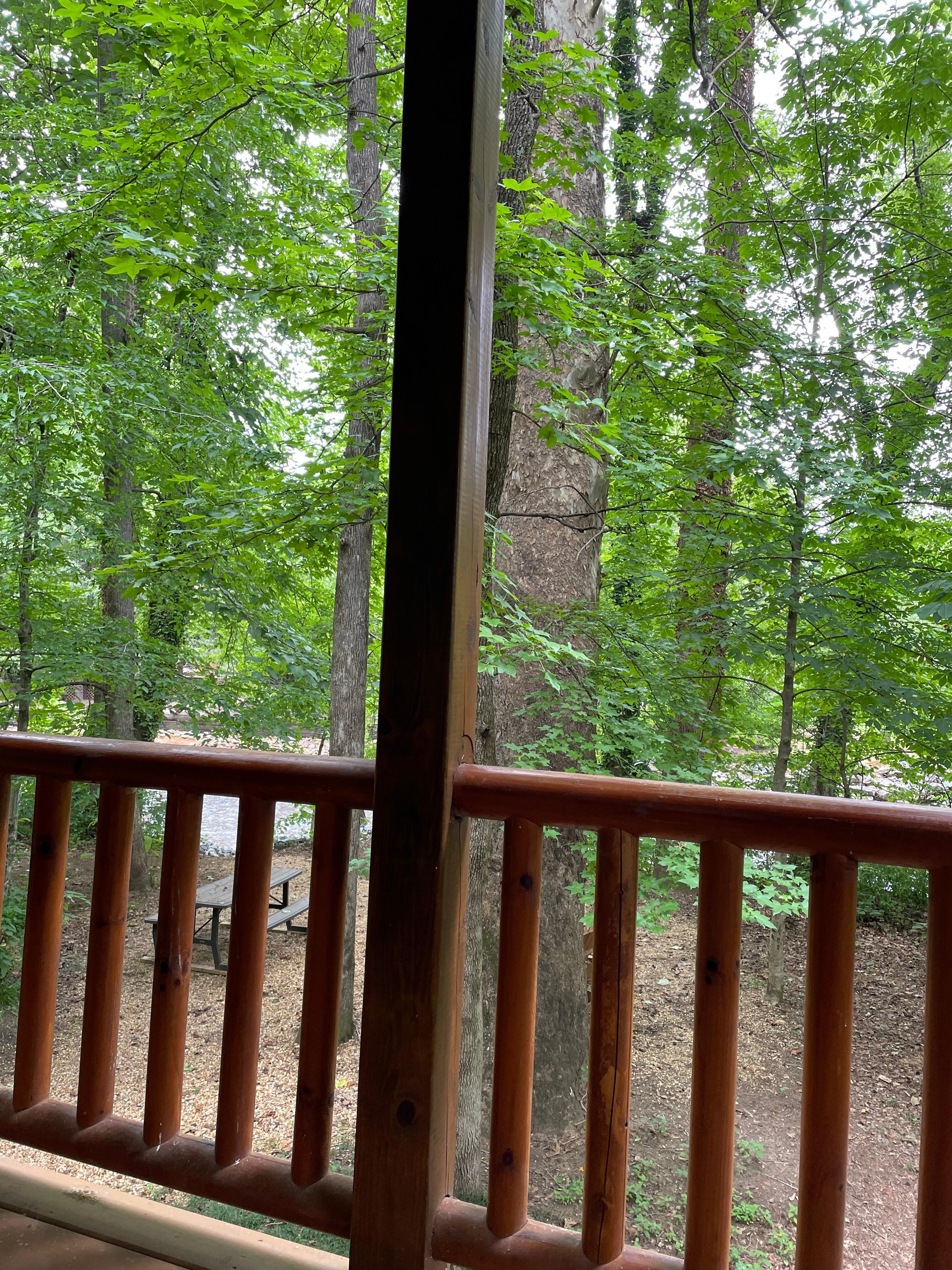 Favorite place- back porch!