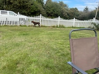 Nice fenced yard for pets