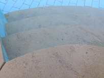 Scharfe Muscheln auf den Treppen