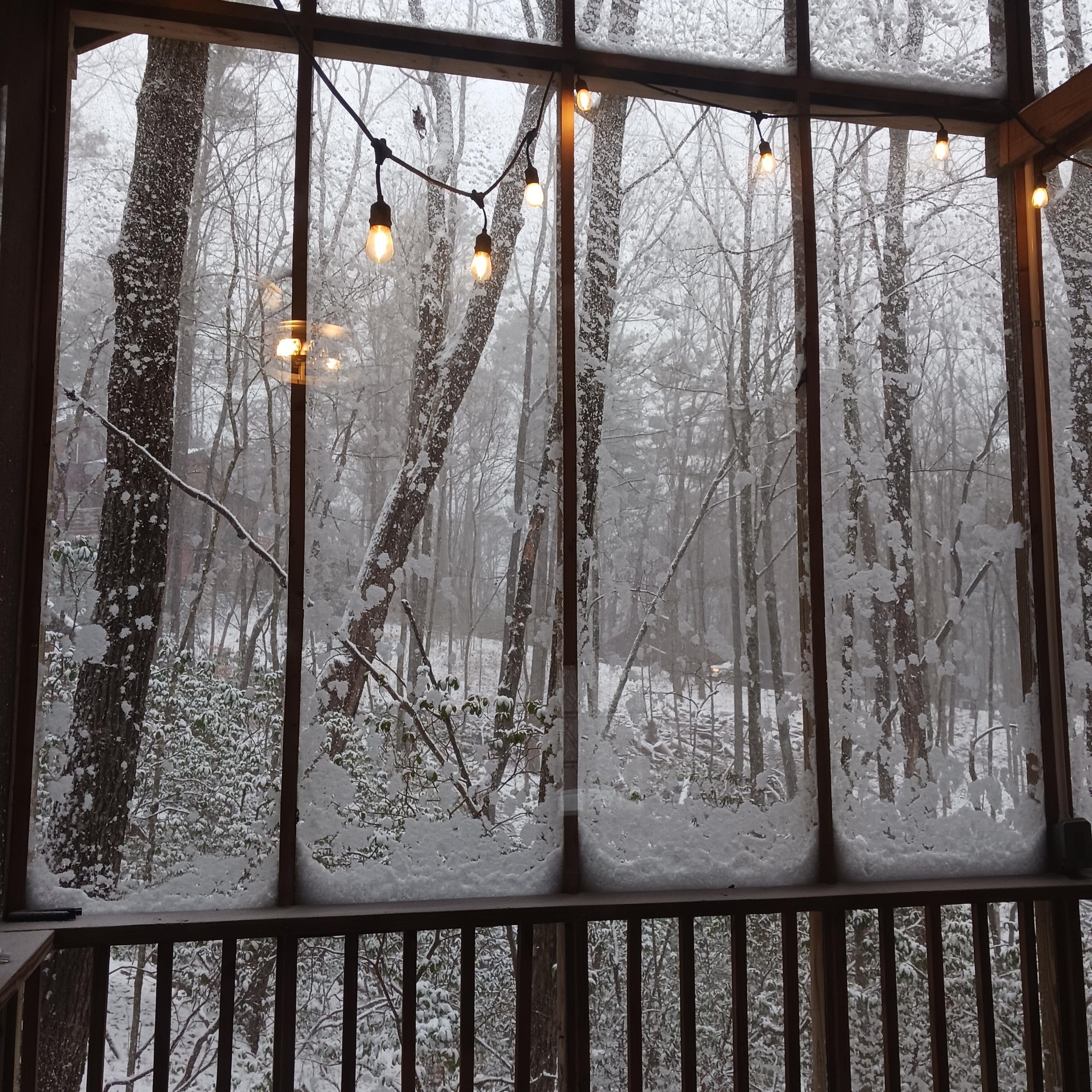 View of back porch and beyond 