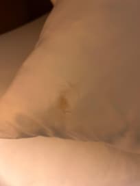 Stains all over bedding