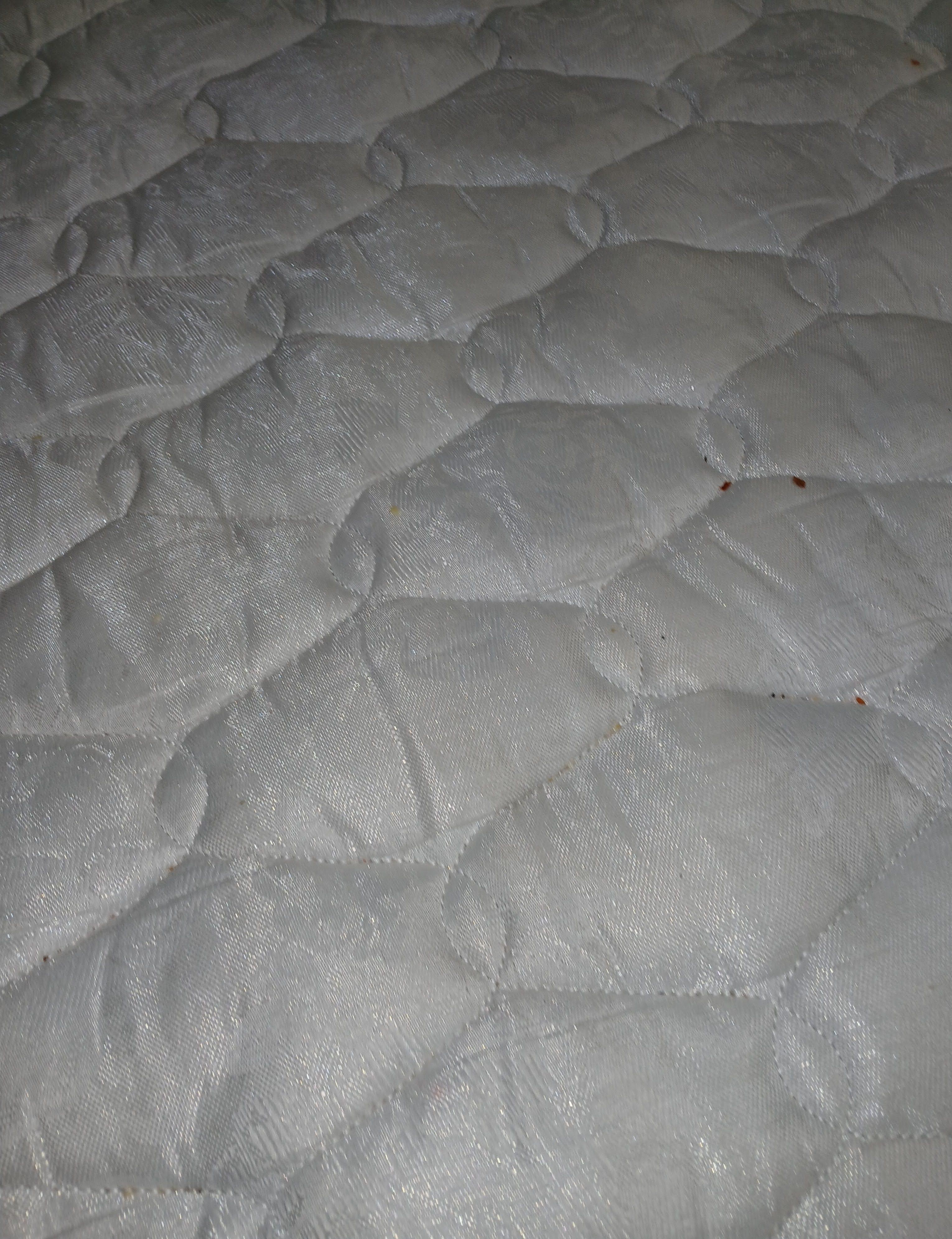 crumbs on sofa pull-out after already wiping a lot off