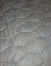 crumbs on sofa pull-out after already wiping a lot off