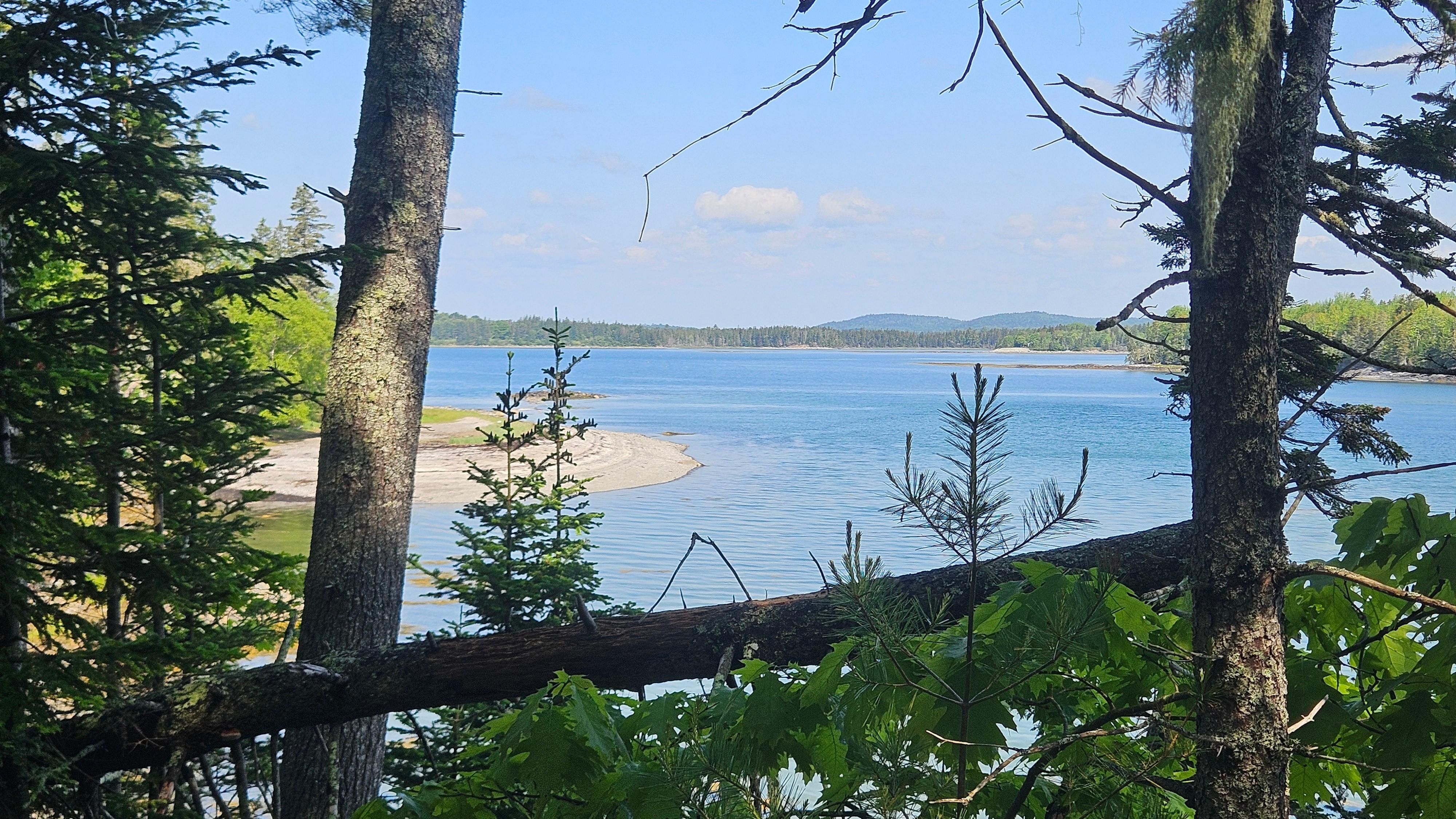Taft Point Preserve, a short drive from the cabin.