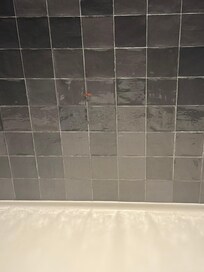 Roach in shower day we arrived