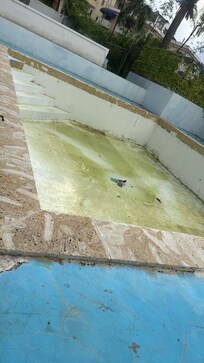 Pool not cleaned