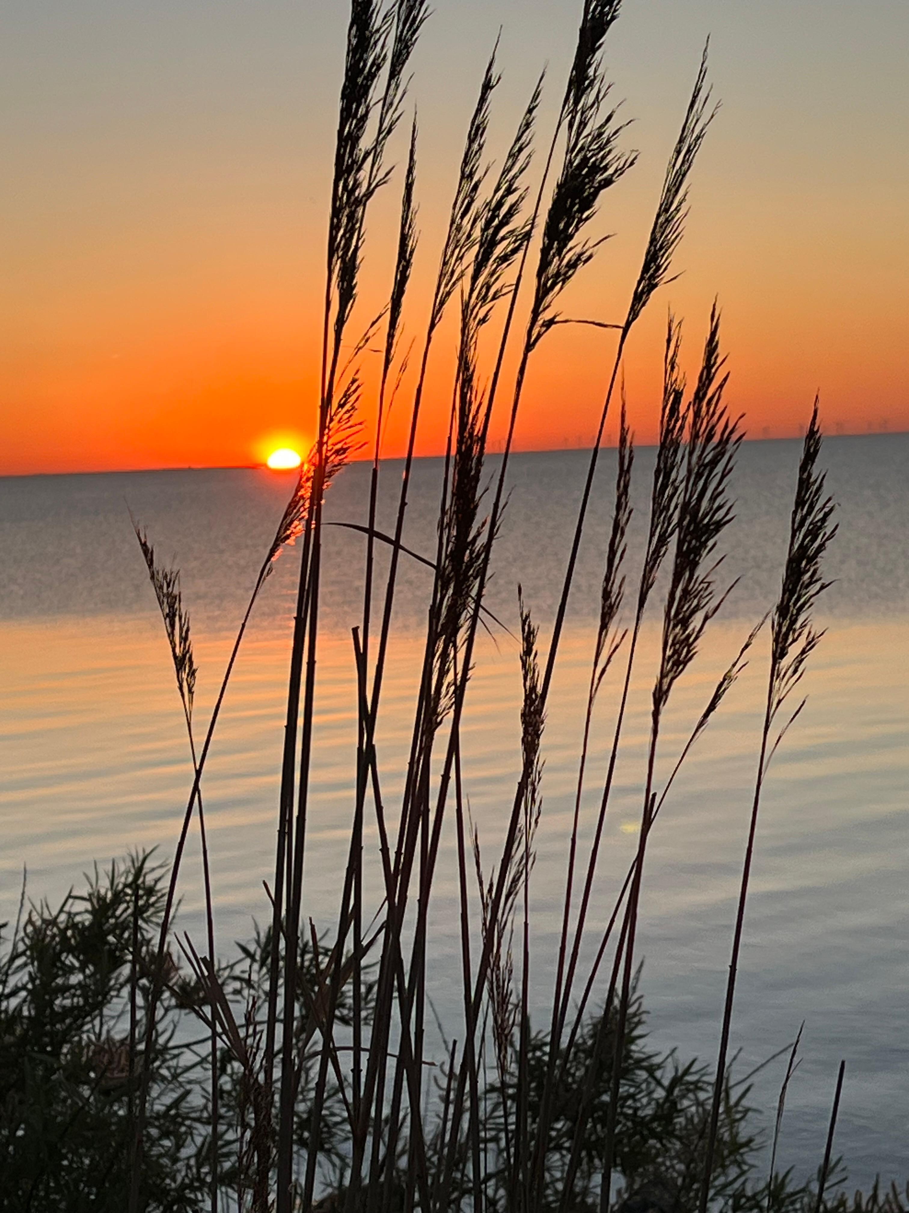 Sonnenaufgang am Strand ( 3 Min. vom Haus)