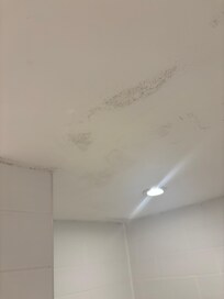 Mouldy bathroom ceiling