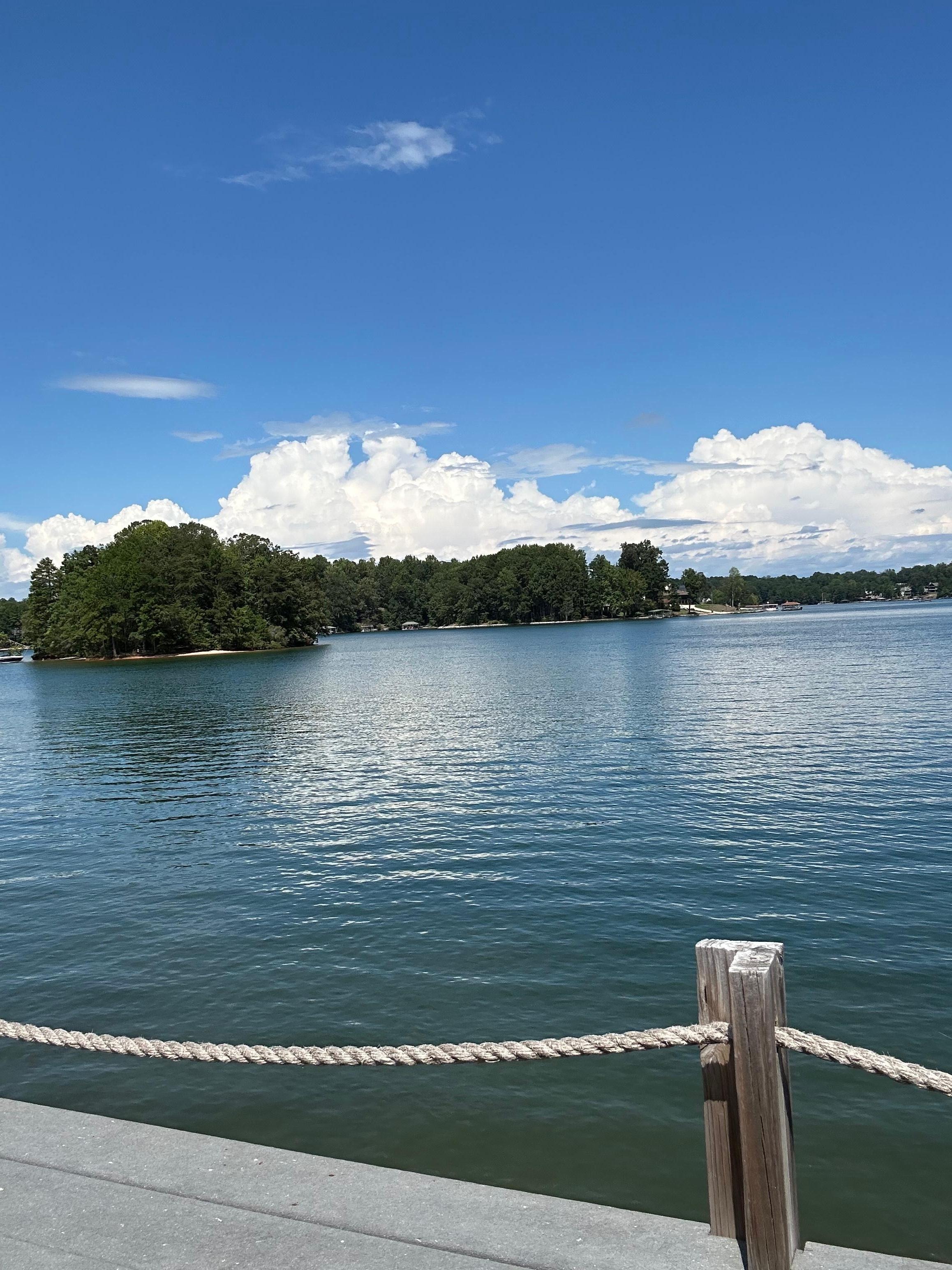 View of the small island across the way from the pool deck. Several of us swam there and back several times!