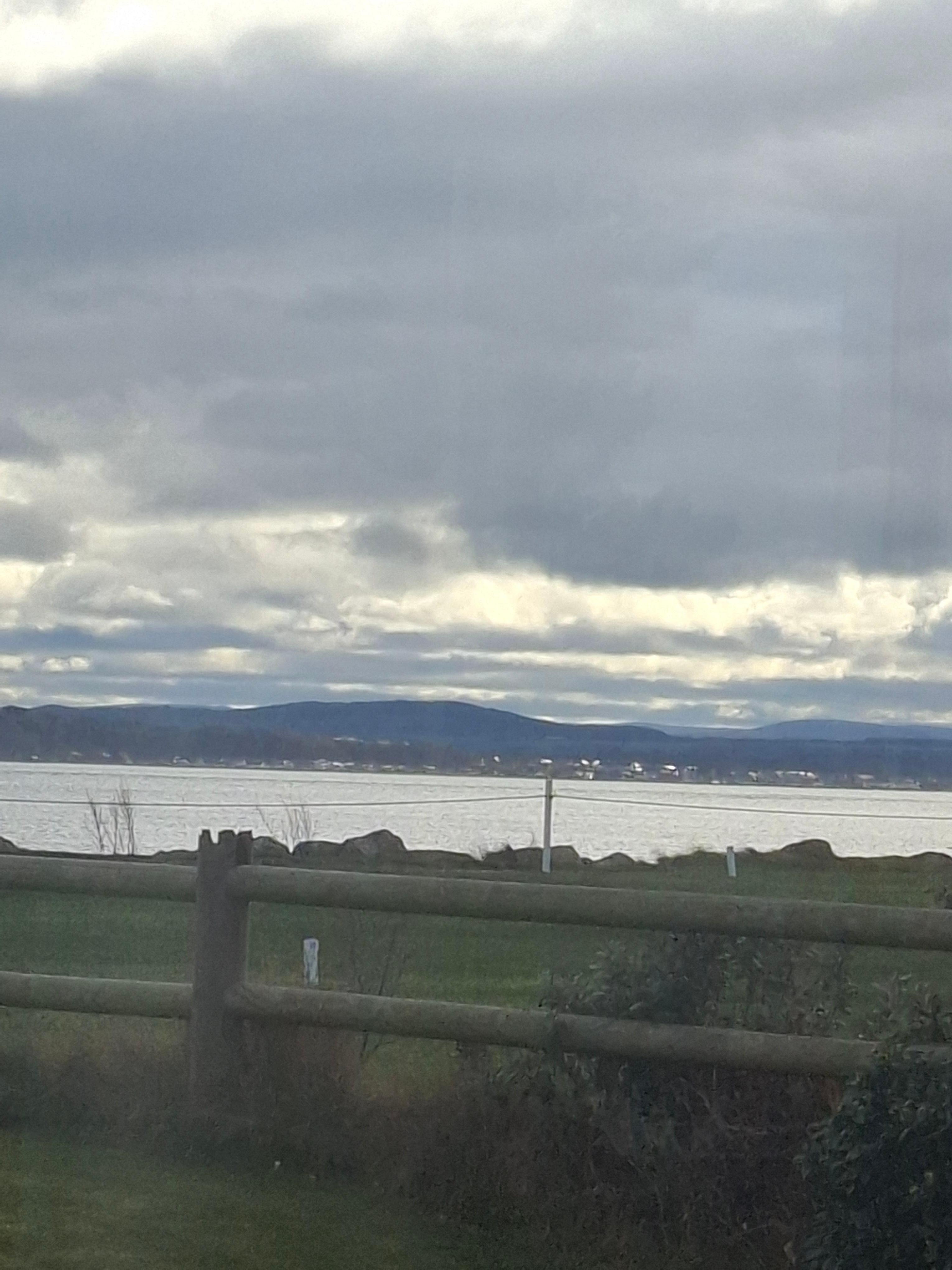 View from inside cottage