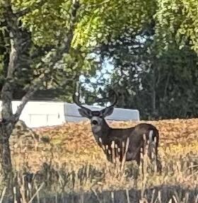 Outside the front door one day