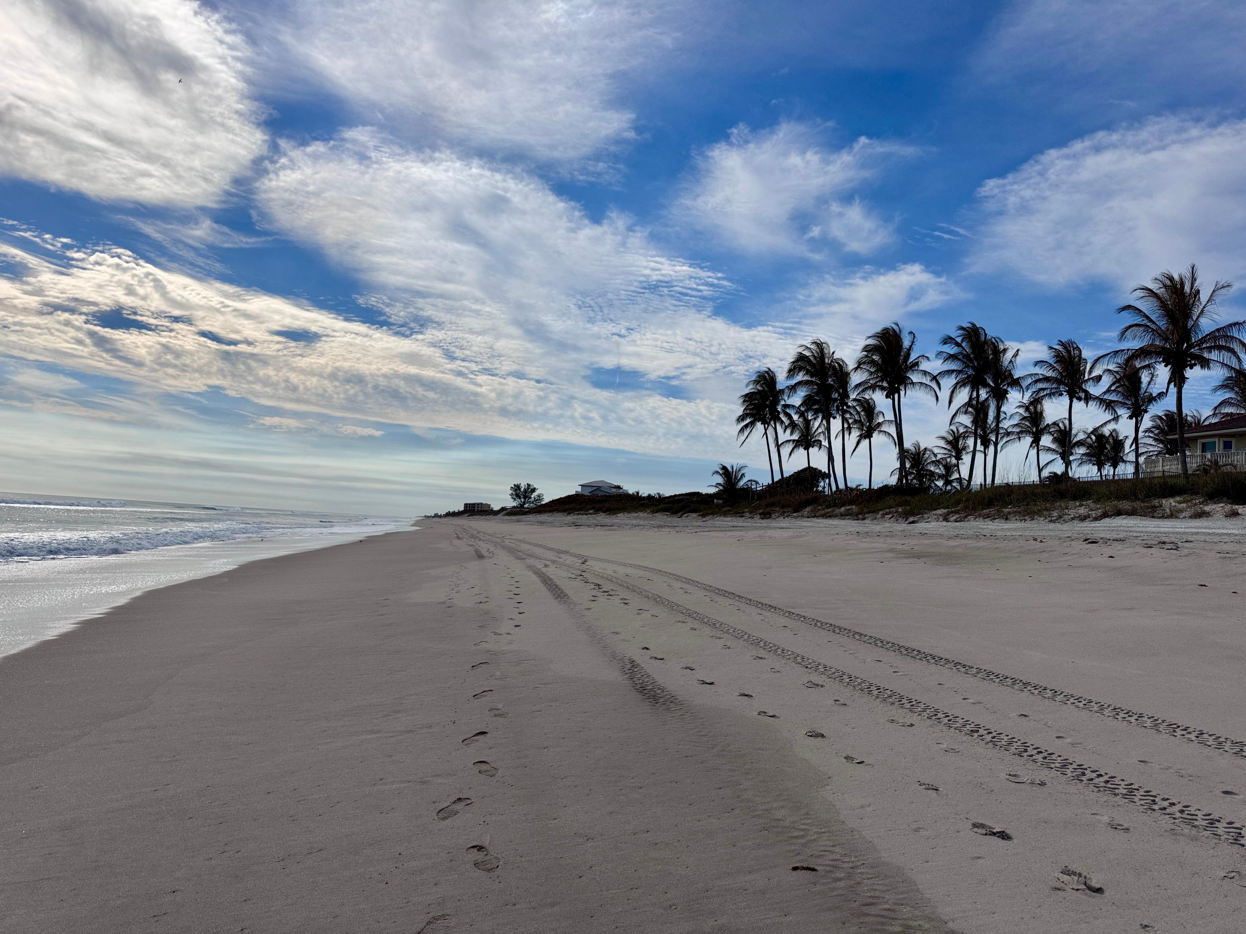 Walking south from the house 