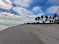 Walking south from the house