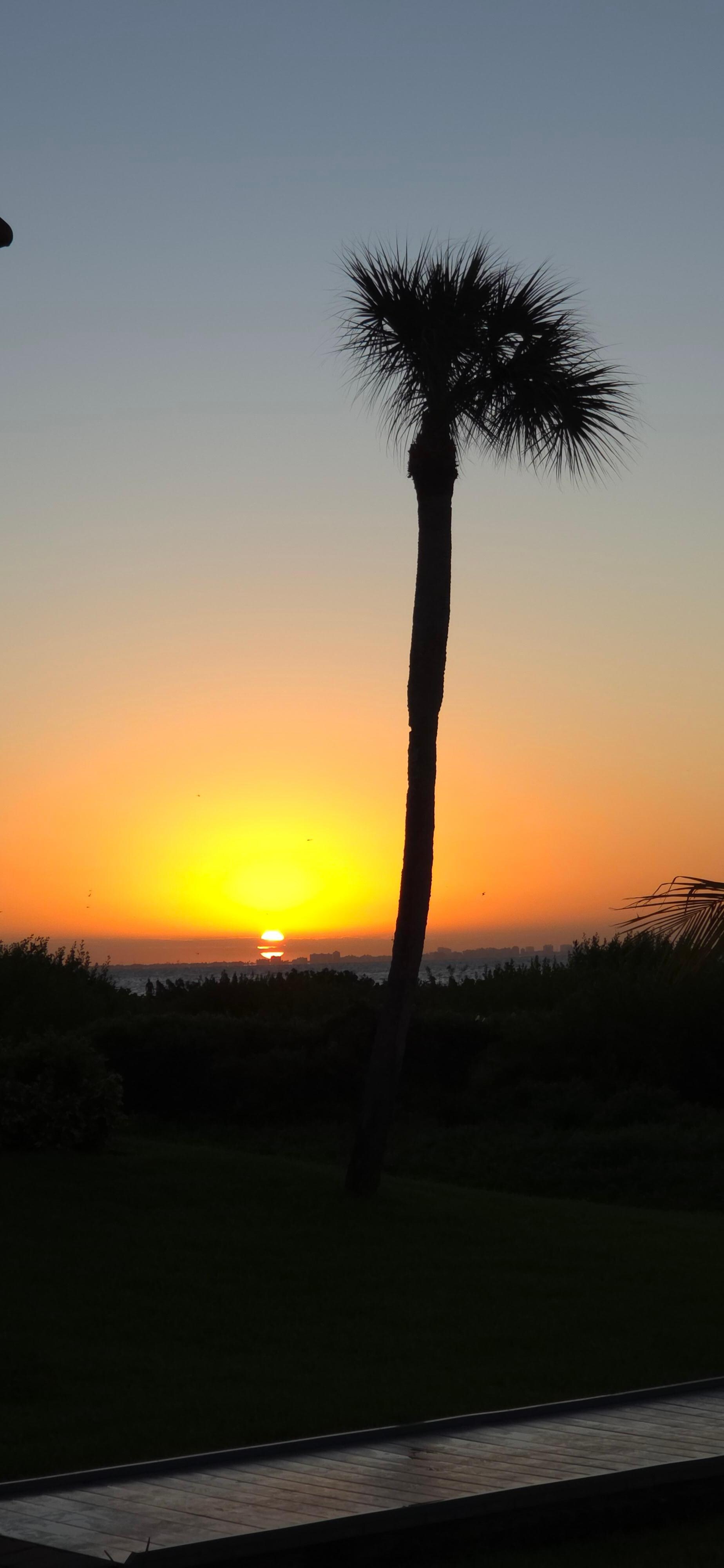 Sunrise at Sandalfoot