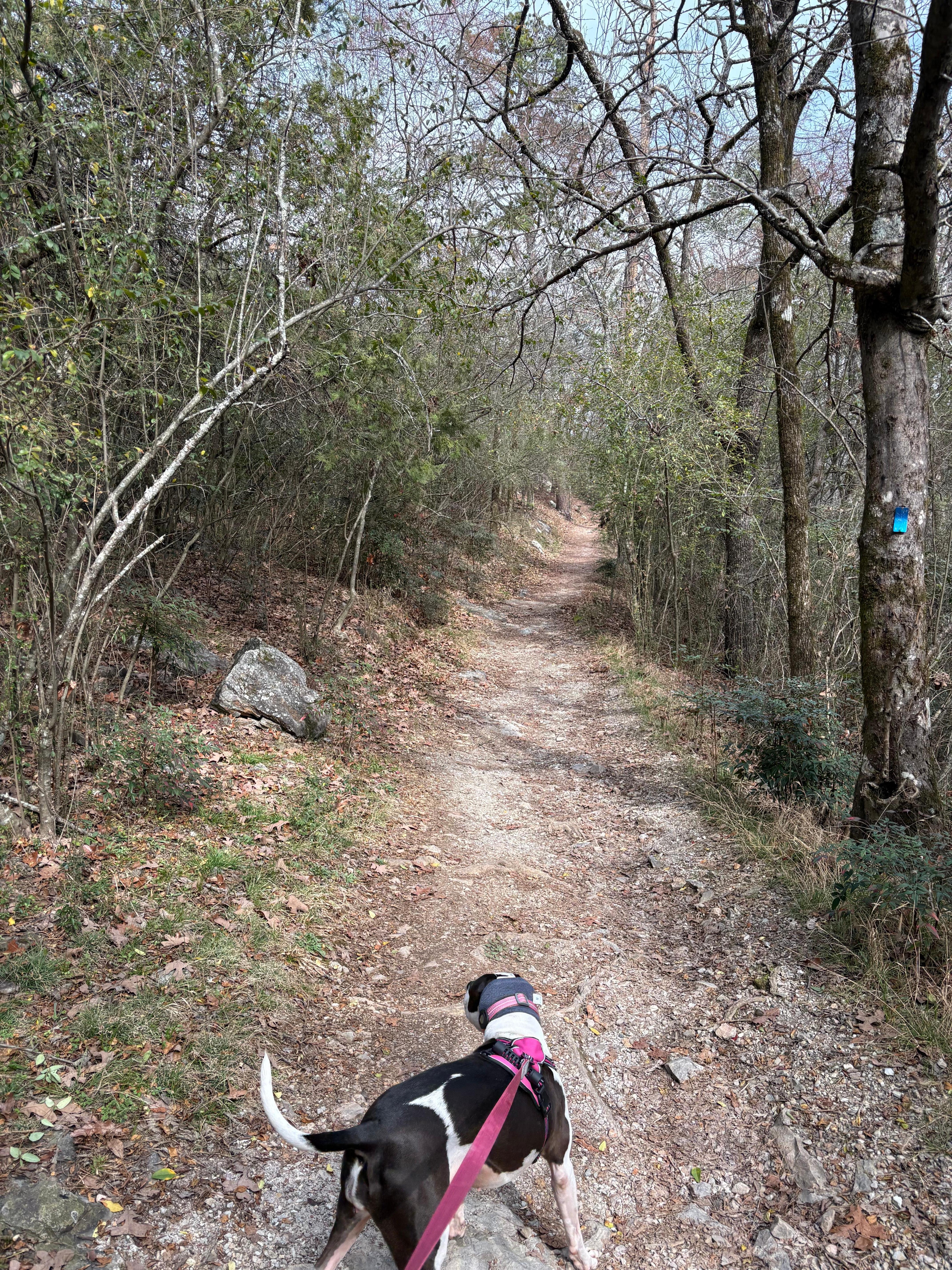 Walking at Hot springs national park