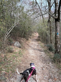 Walking at Hot springs national park