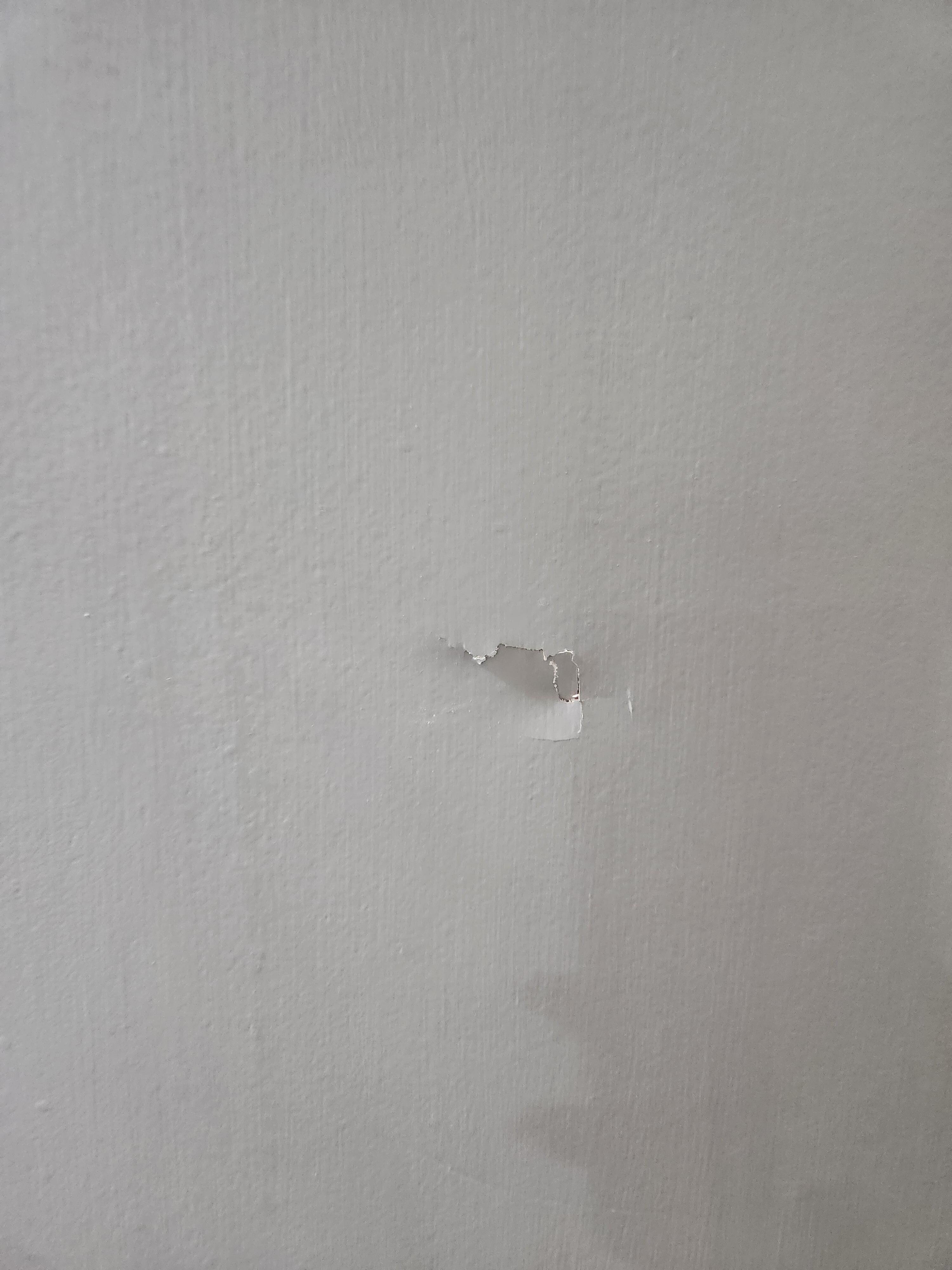 Bathroom door