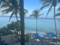View from the patio