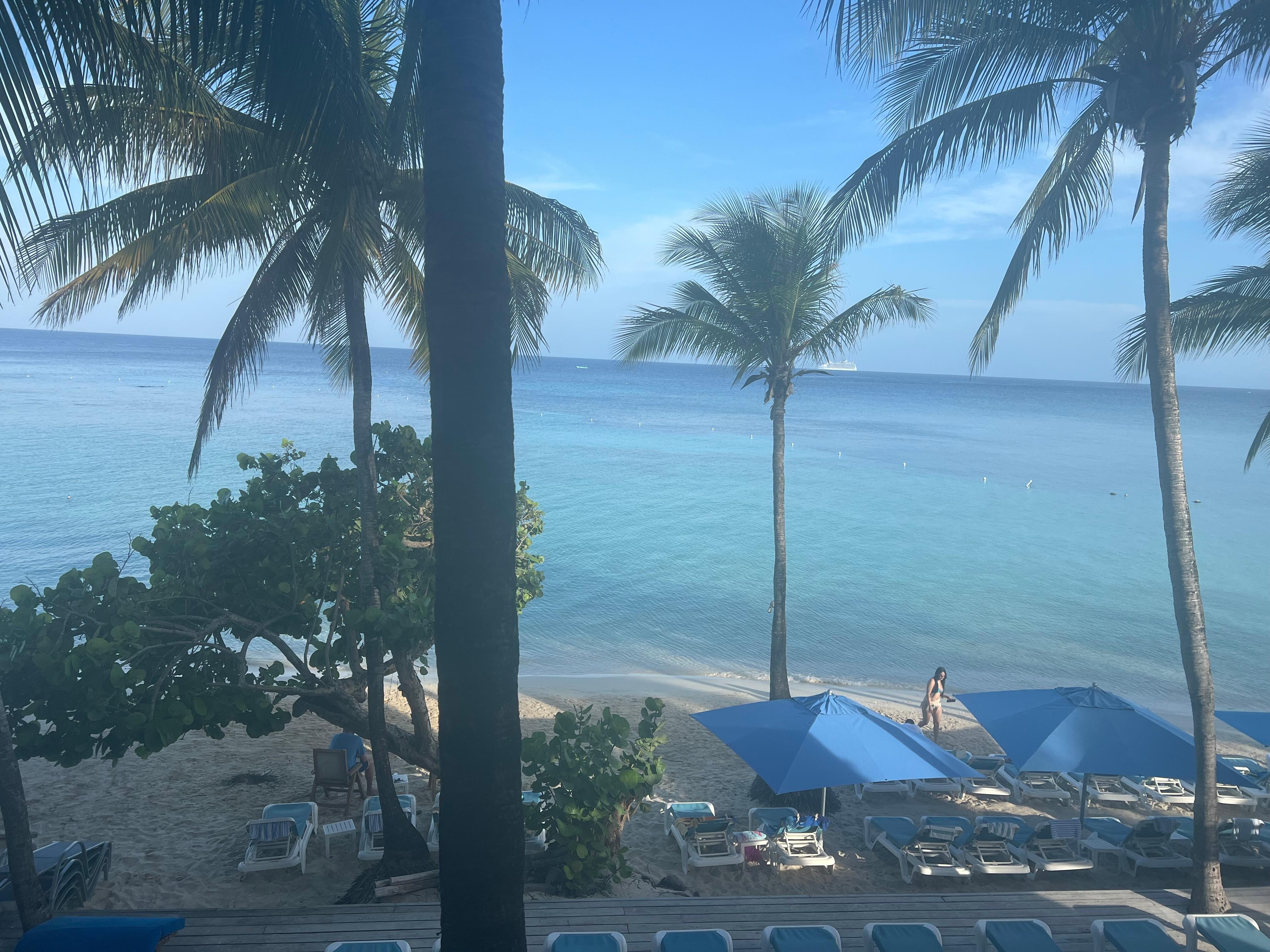 View from the patio