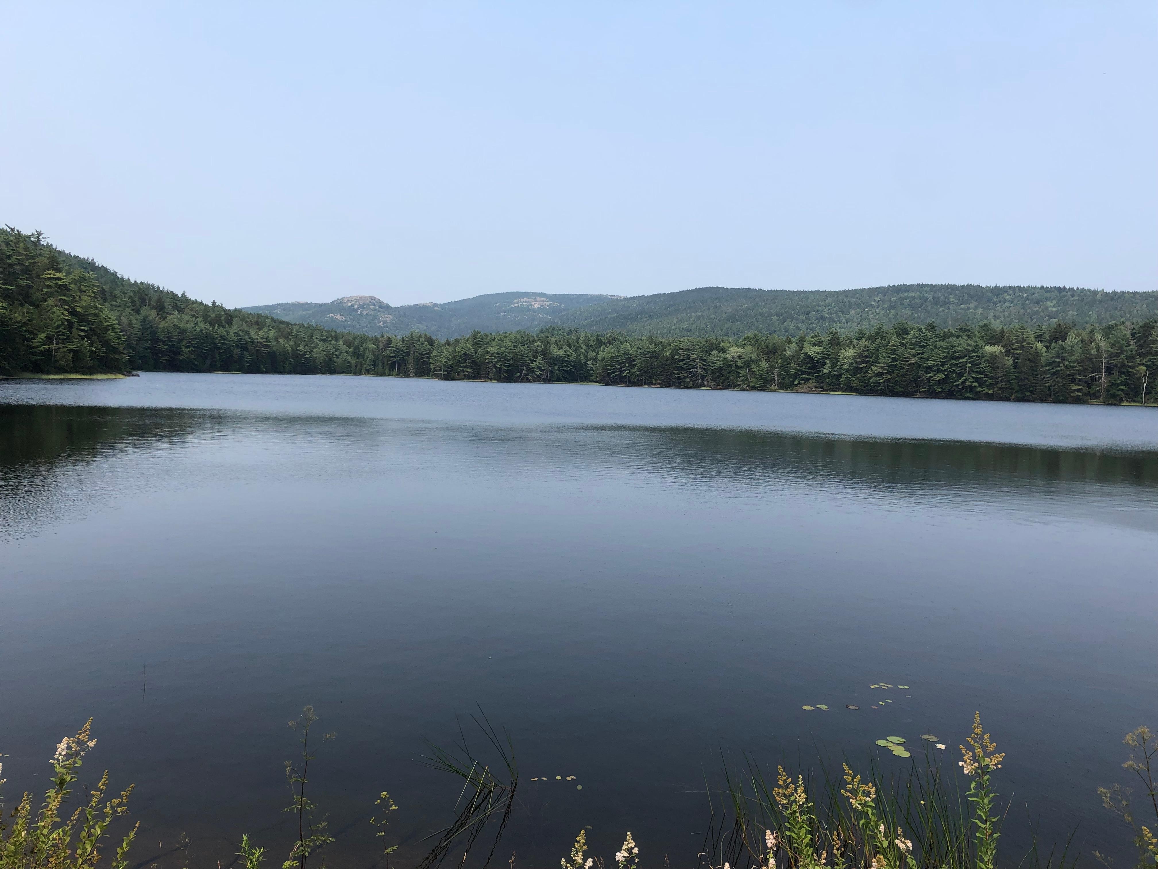 Lower Hadlock pond 
