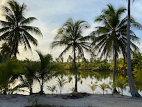 View from the restaurant