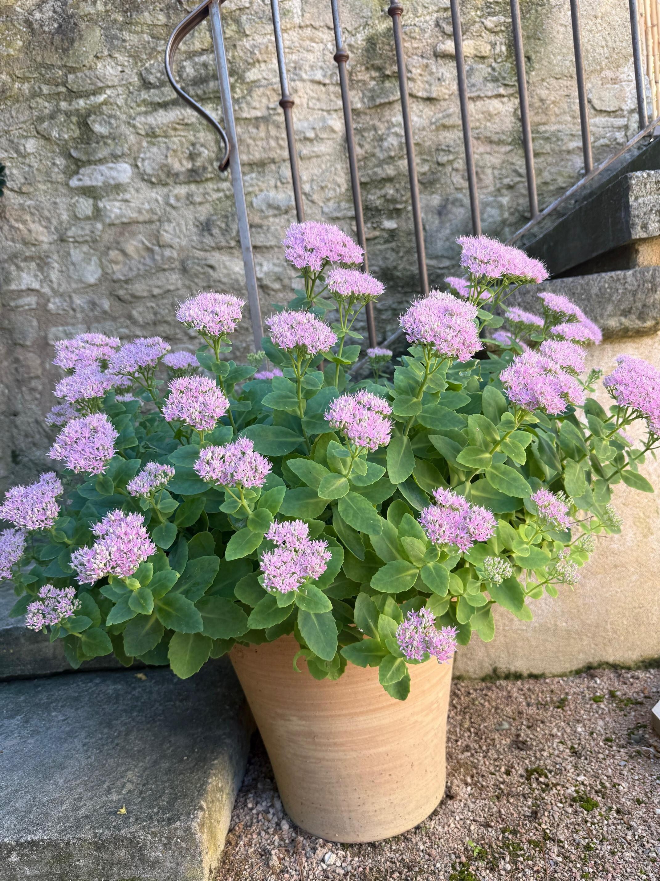 A welcome to the Gîte