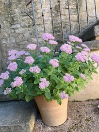 A welcome to the GĂźte