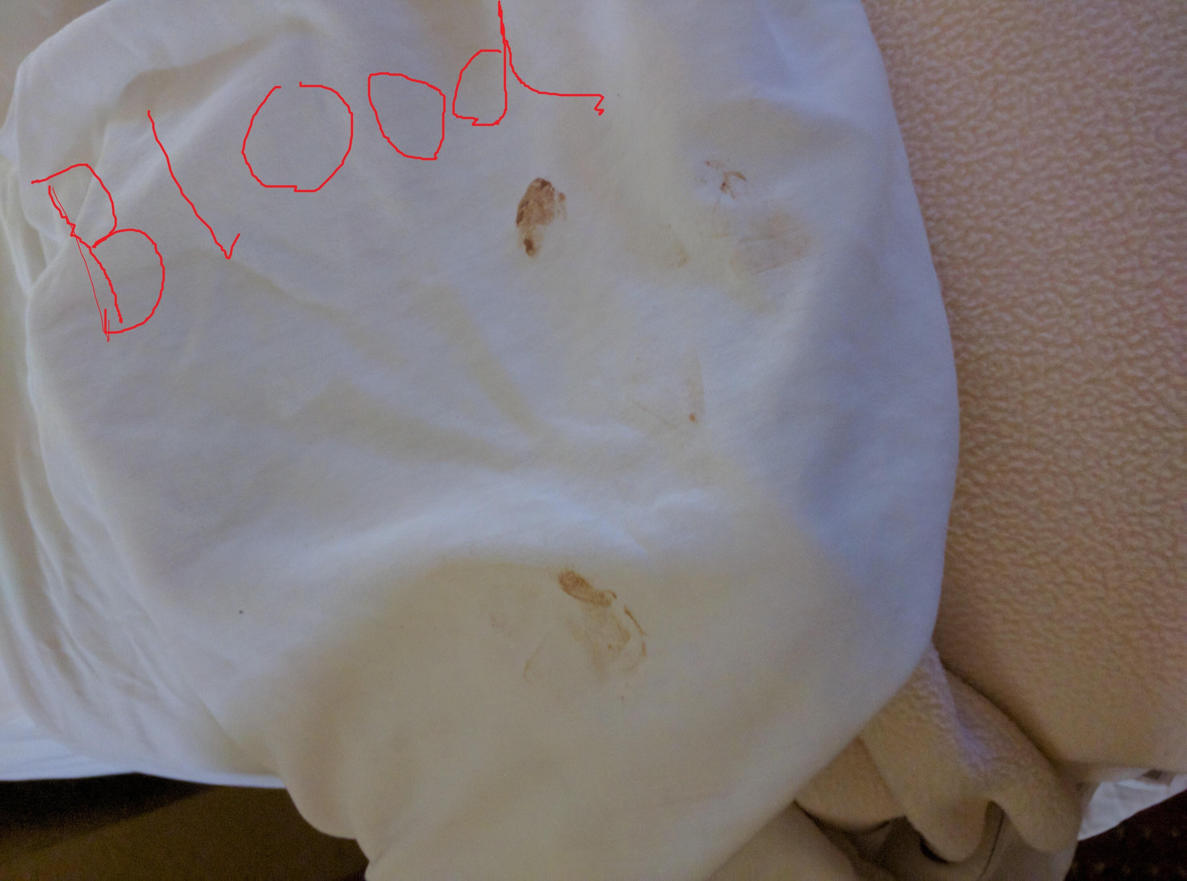Blood on Sheets