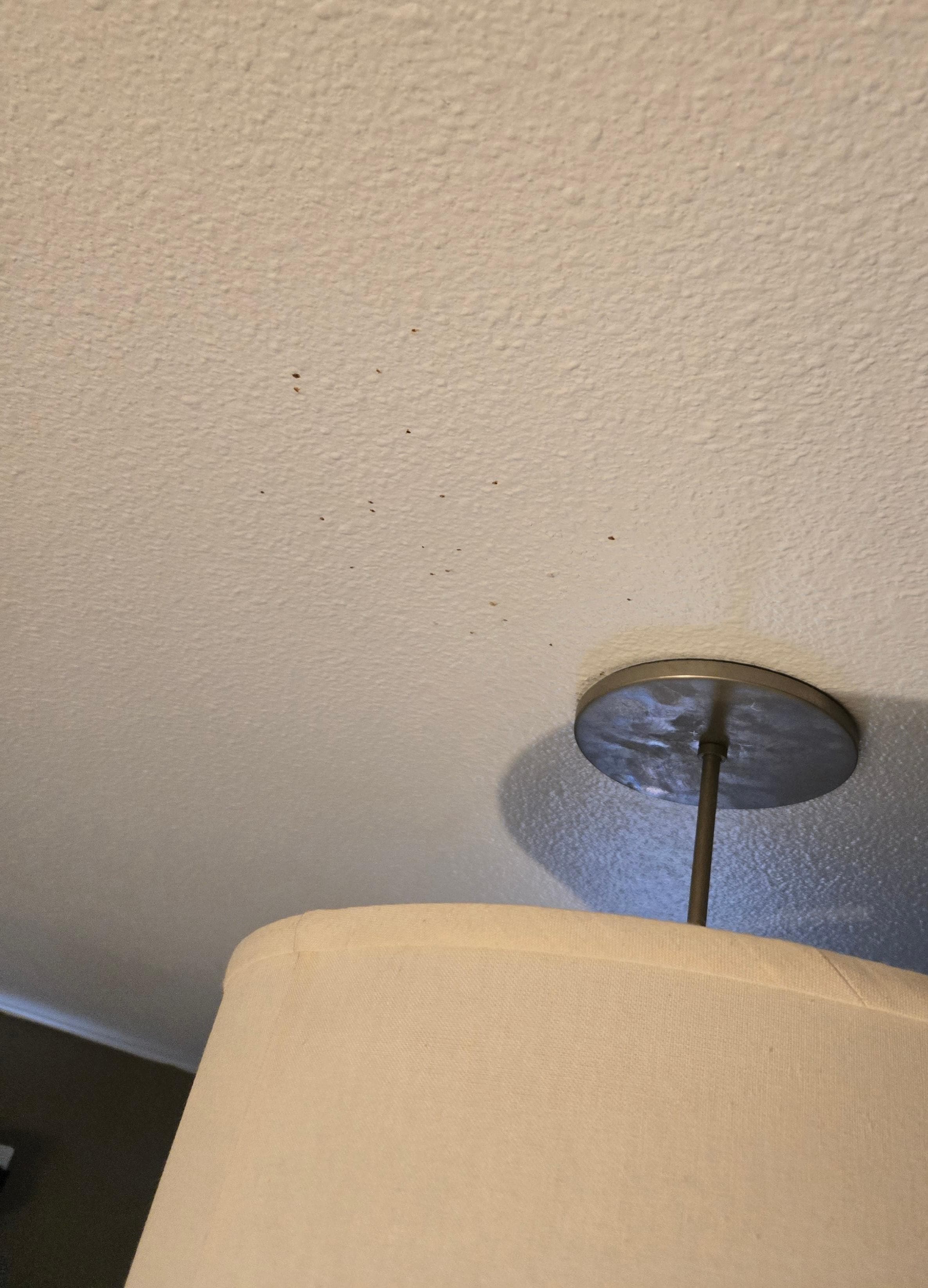 Zoom in to see the blood on the ceiling. 