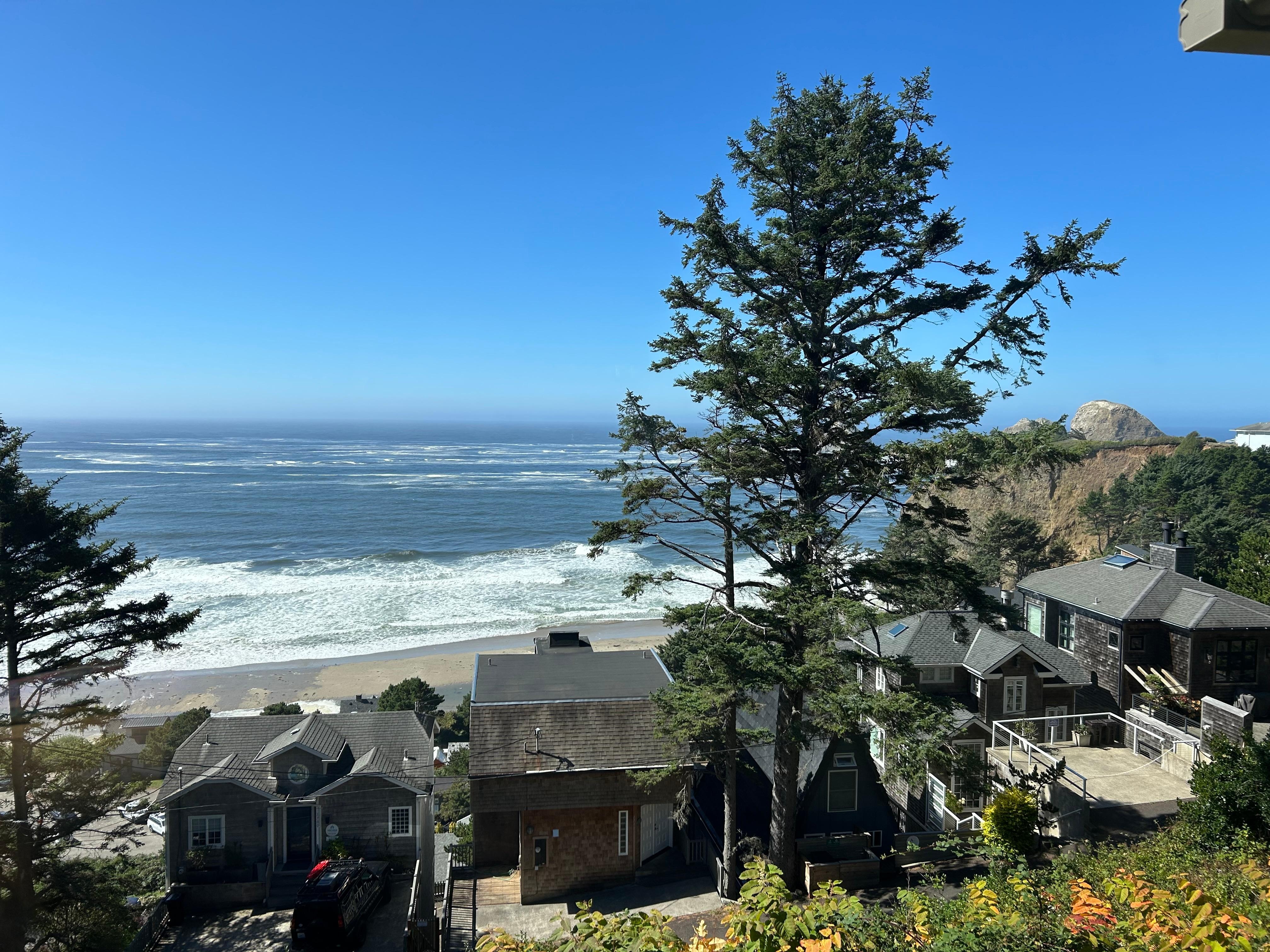 View from living room