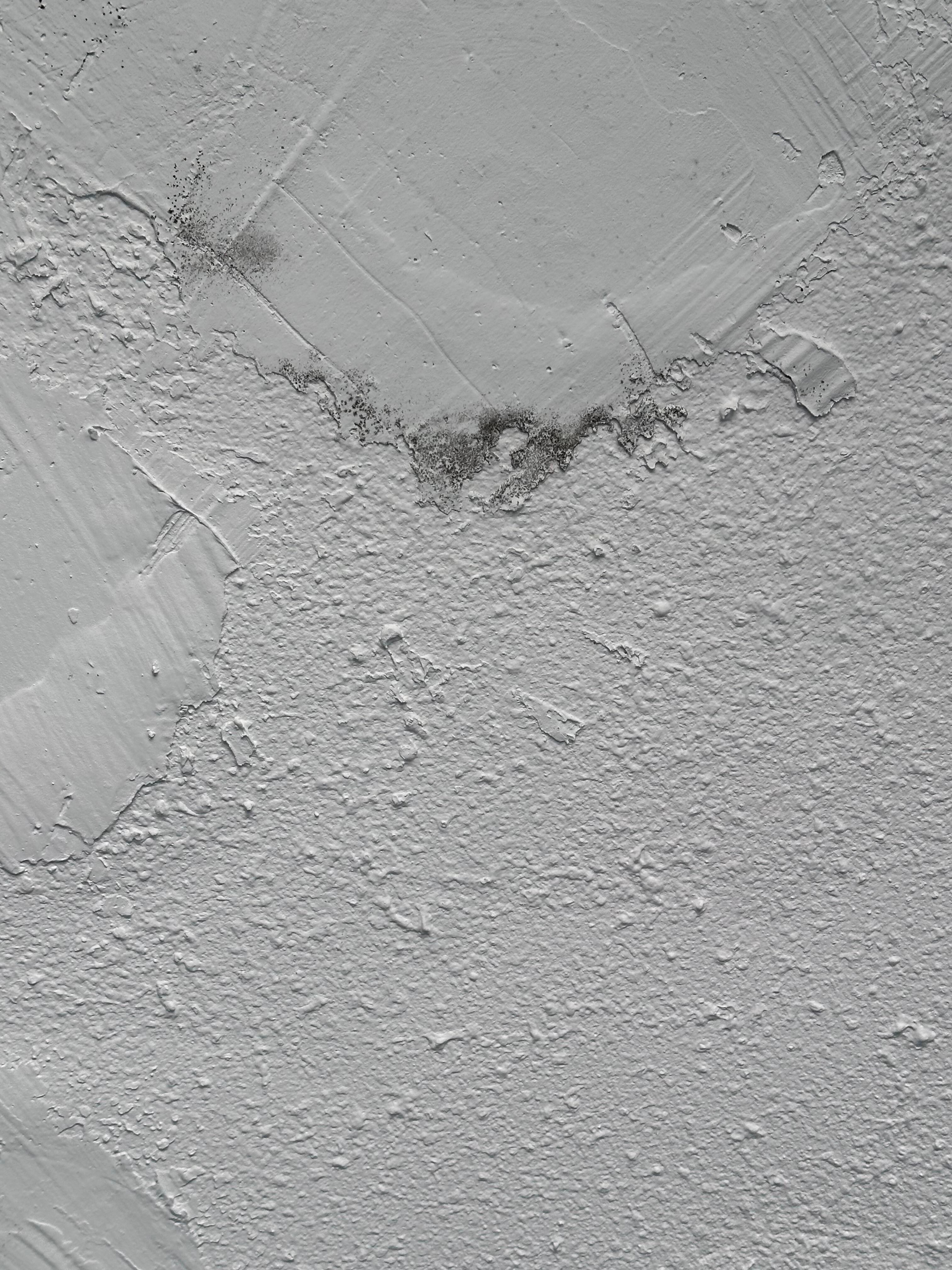 Mold on ceiling 
