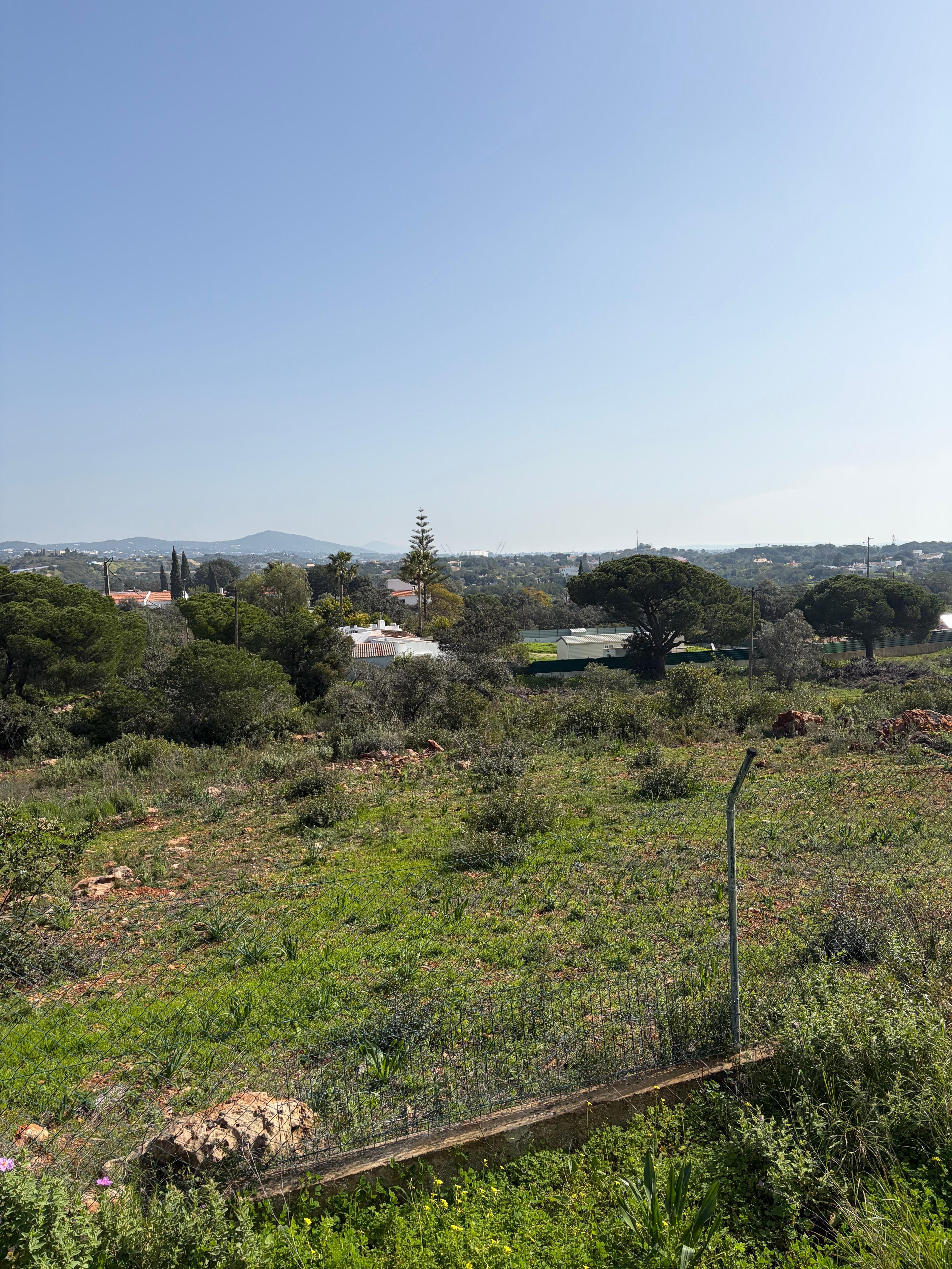 View from the patio.