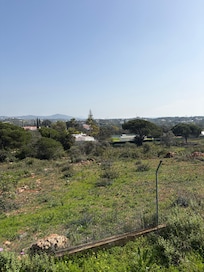 View from the patio.