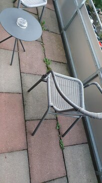 Ogräset växer på balkongen