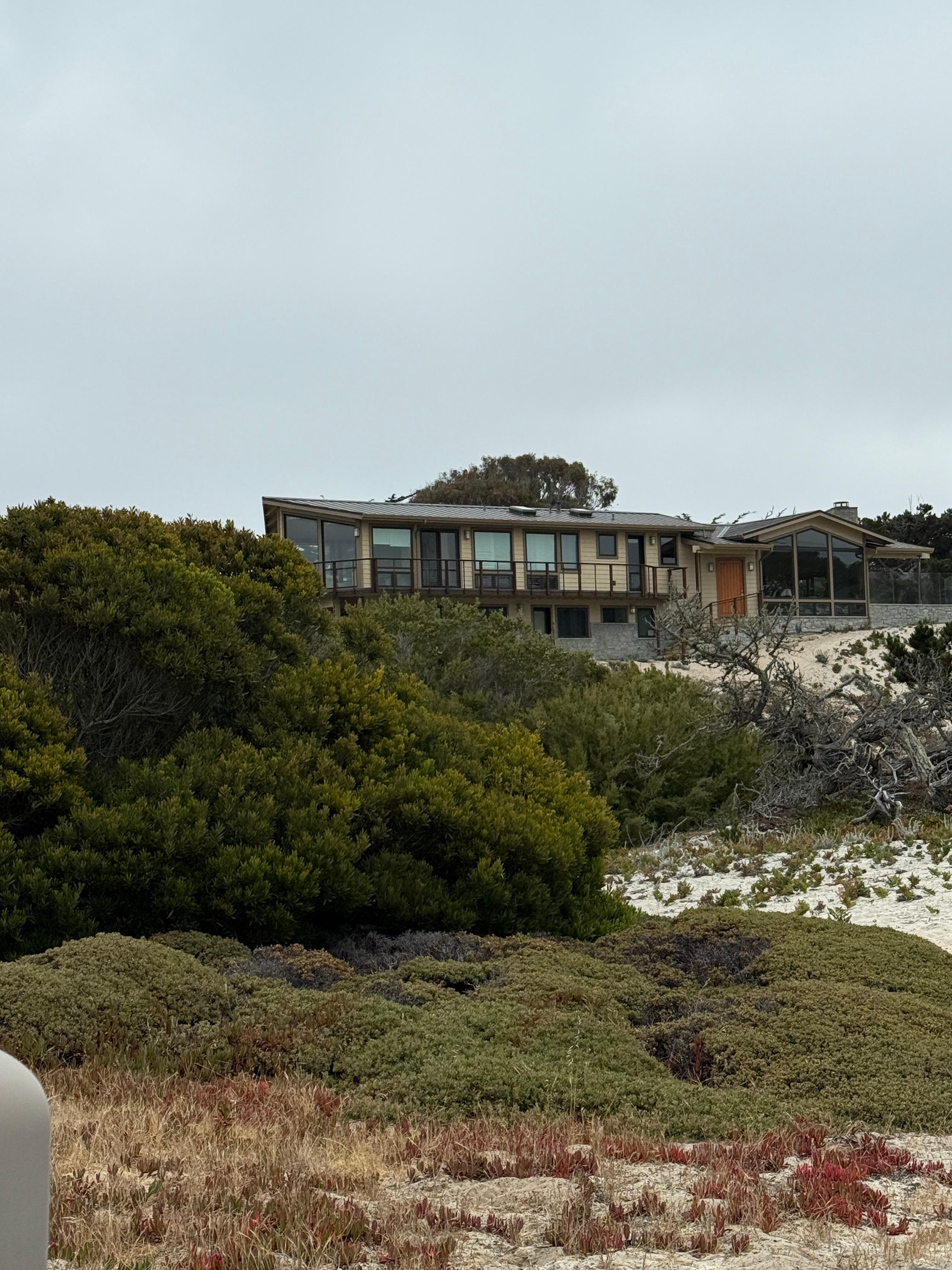 The house is a work of art