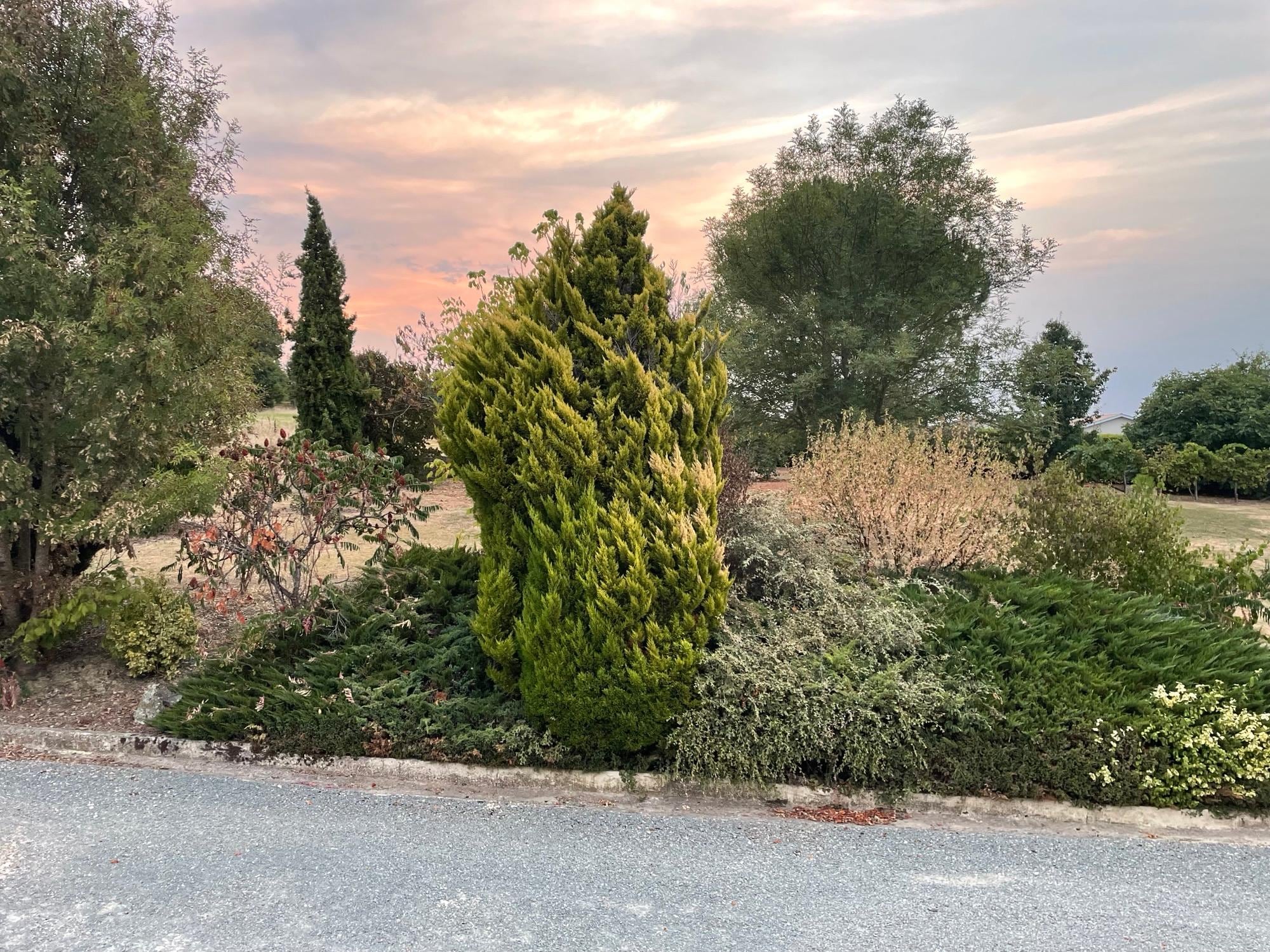 The view outside our bedoom window :)