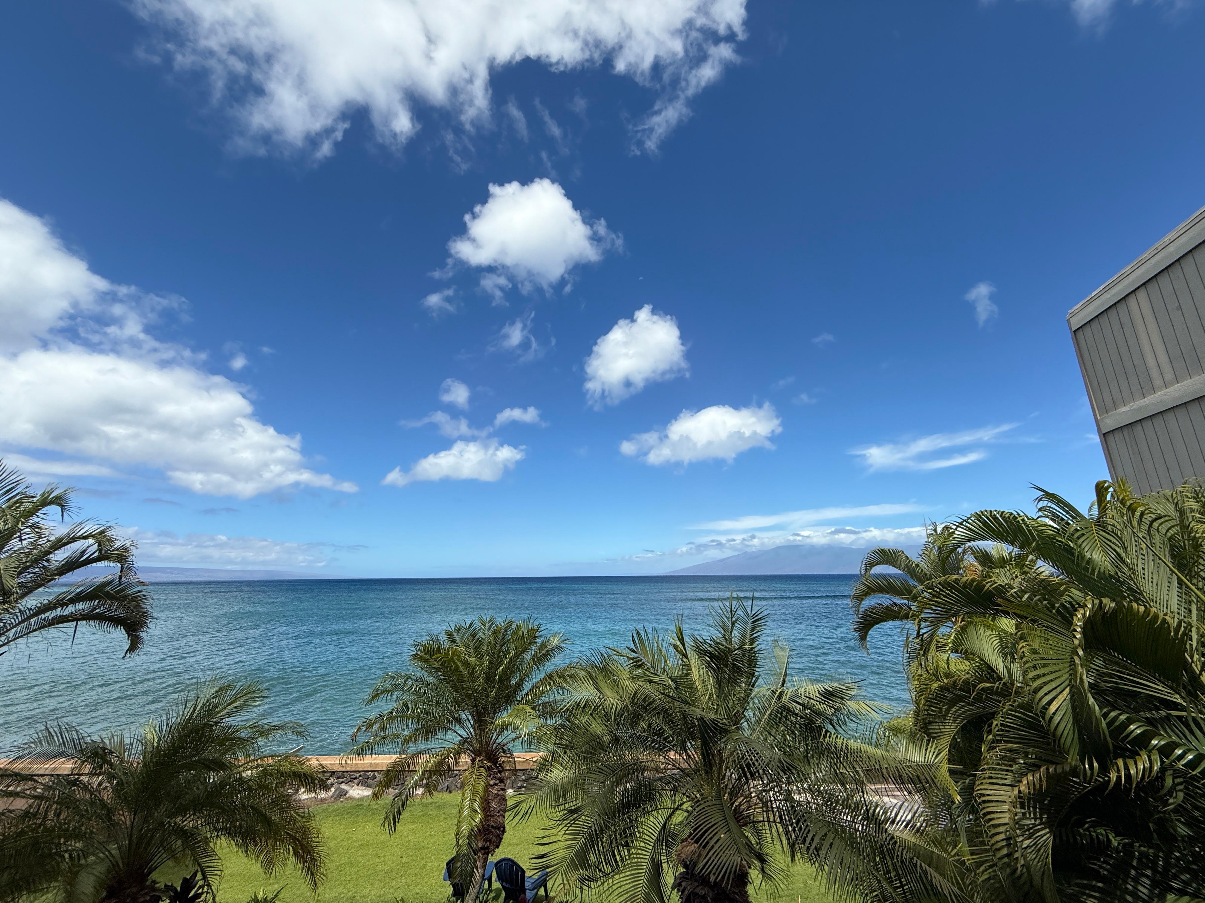 Day photo from lanai